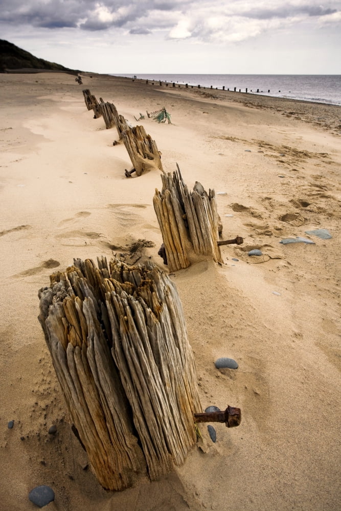 Posterazzi Posts In Sand Canvas Art - John Short  Design Pics (24 x 36)
