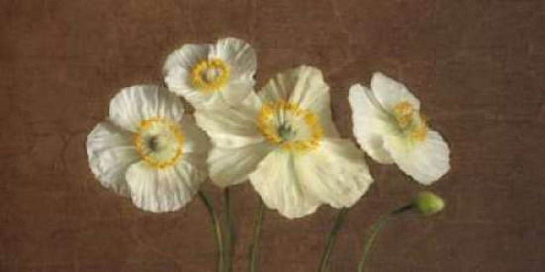 Posterazzi Precious Poppies Canvas Art - Janel Pahl (24 x 48)