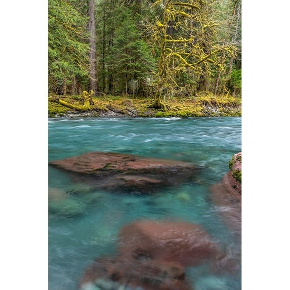 Posterazzi Printed Poster, by Kathy Mahan