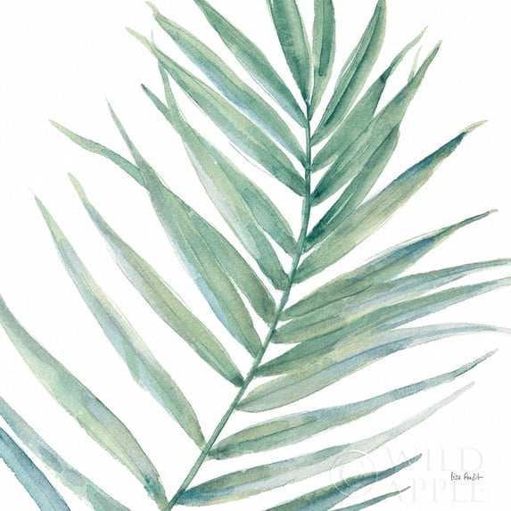 Posterazzi Printed Poster, by Lisa Audit