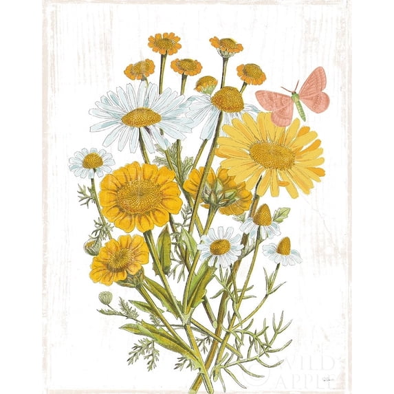 Posterazzi Printed Poster, by Maurice Lorand