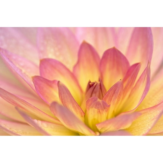 Posterazzi Printed Poster, by Rita Crane