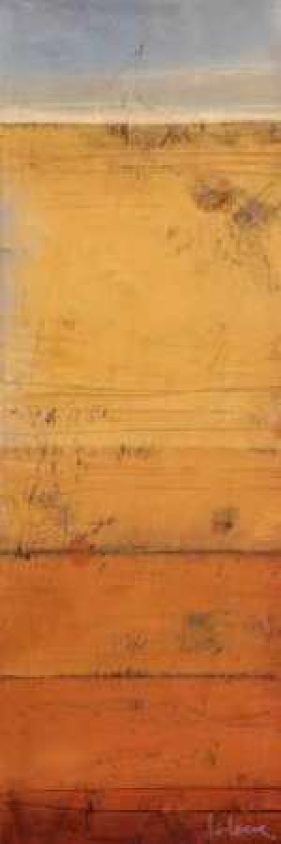 Posterazzi Promontory I Canvas Art - Don Li-Leger (12 x 36)