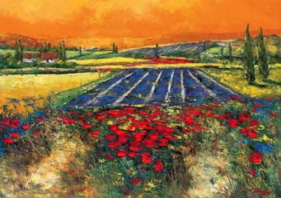 Posterazzi Provence Canvas Art - Madjid (18 x 24)
