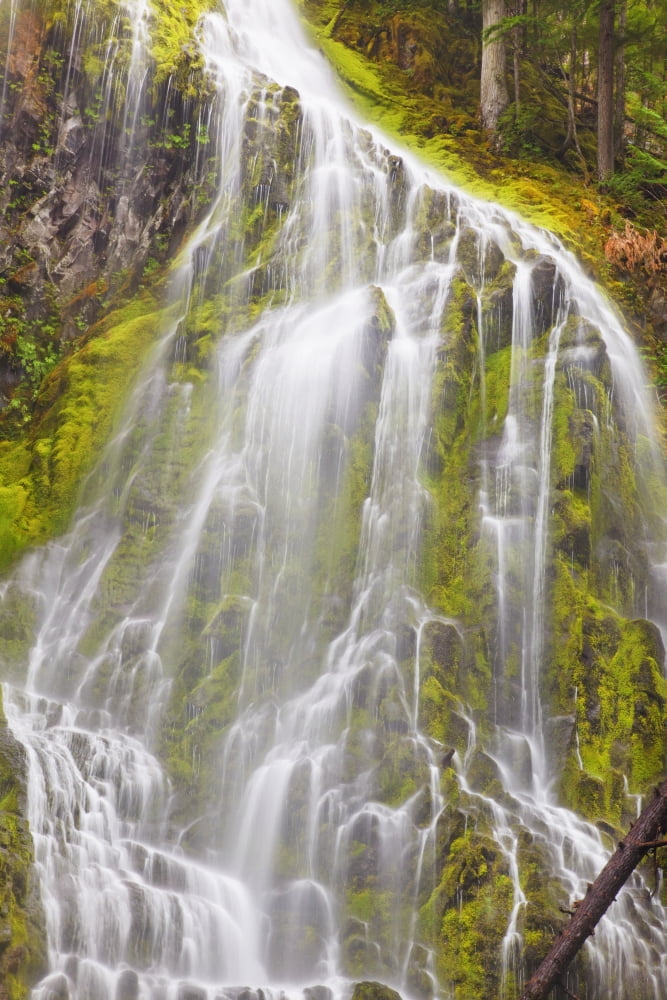 Posterazzi Proxy Falls In Willamette National Forest Oregon United States of America Canvas Art - Craig Tuttle Design Pics (24 x 38)