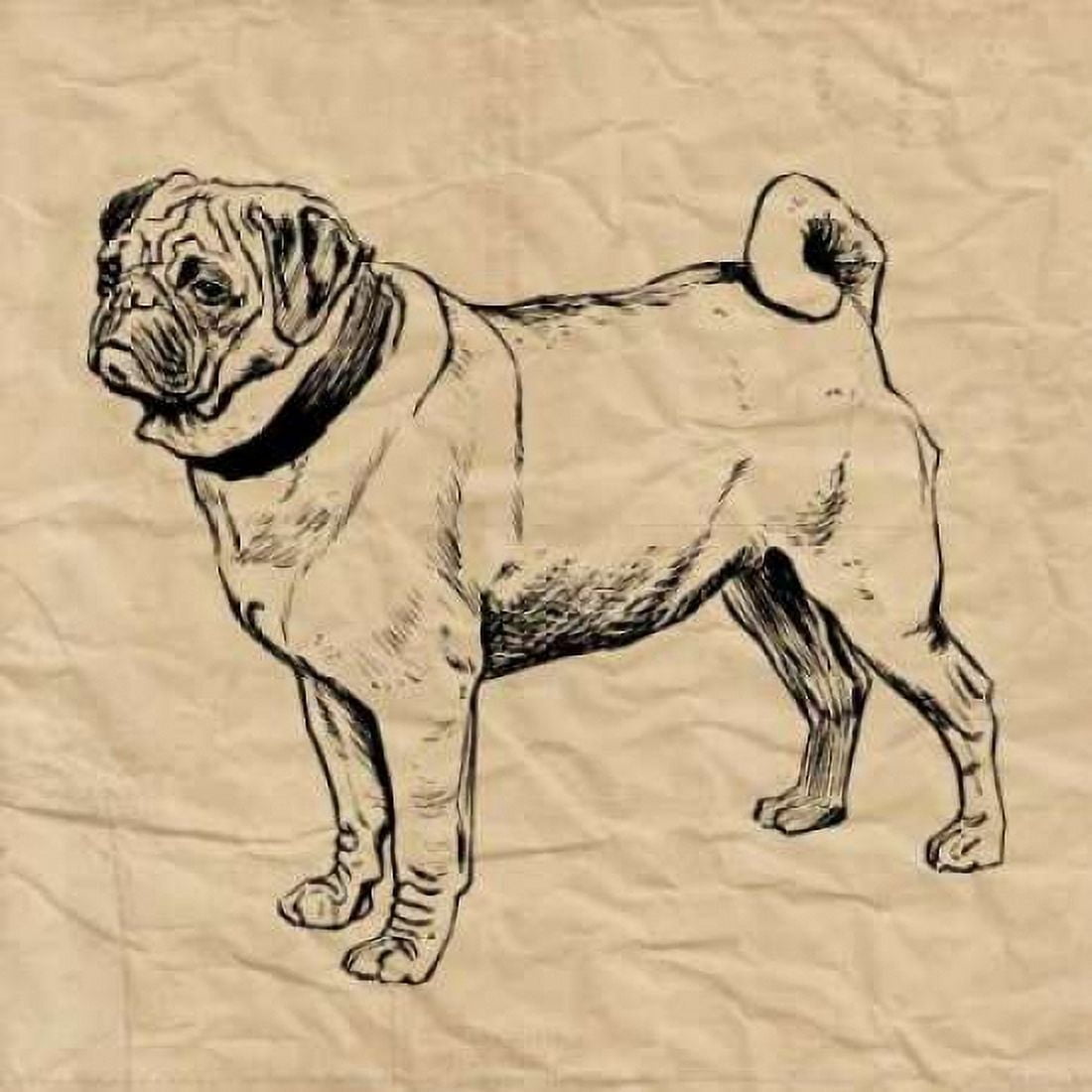 Posterazzi Pug Canvas Art - Sabine Berg (24 x 24)