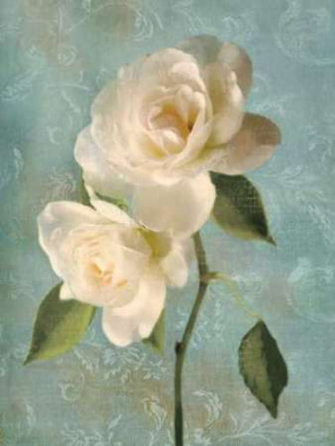 Posterazzi Purity II Canvas Art - Janel Pahl (18 x 24)