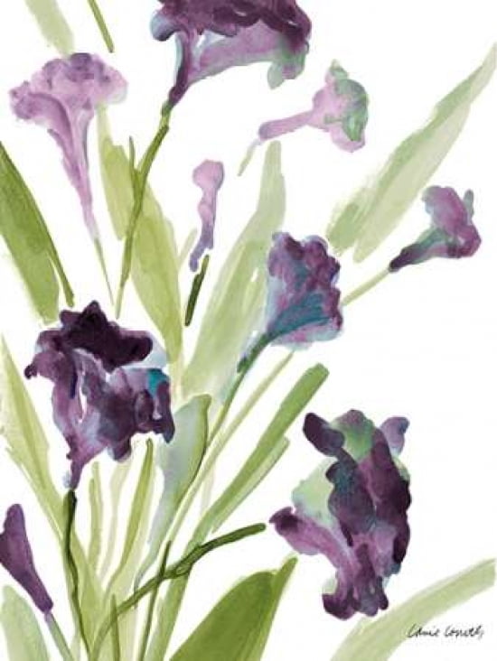 Posterazzi Purple Belles II Canvas Art - Lanie Loreth (18 x 24)