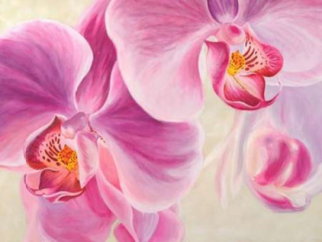Posterazzi Purple Orchids Canvas Art - Cynthia Ann (22 x 28)