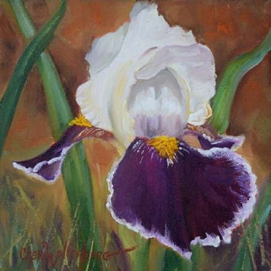 Posterazzi Purple and White Iris Canvas Art - Cheri Wollenberg (24 x 24)
