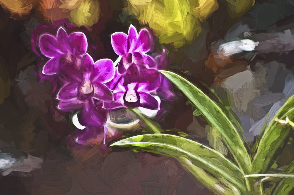 Posterazzi Purple vanda orchid Honolulu Oahu Hawaii United States of America Canvas Art - Joe Carini Design Pics (38 x 24)