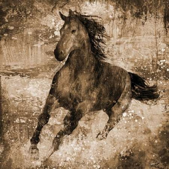 Posterazzi RUNNING FREE Canvas Art - Eric Yang (24 x 24)
