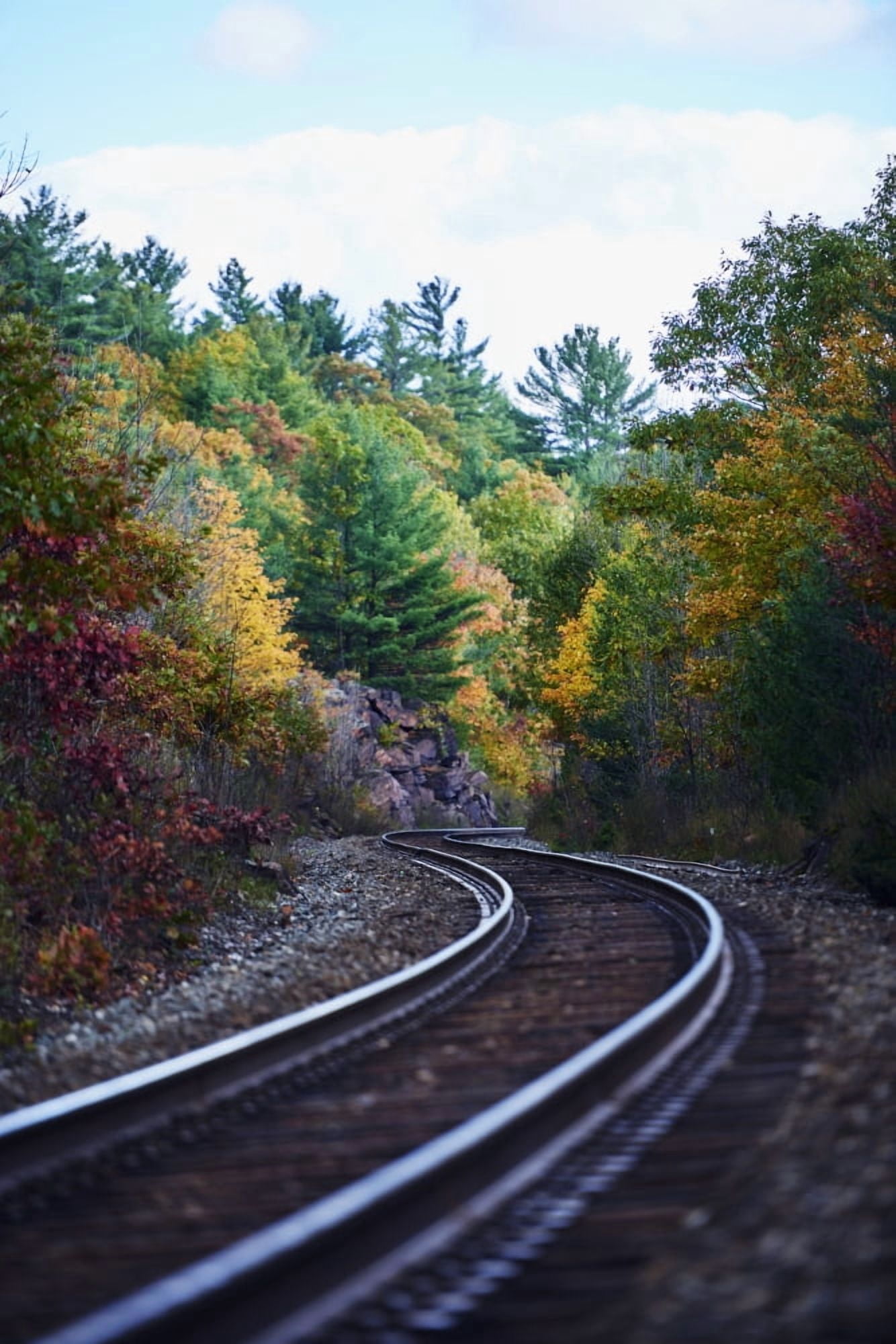 Posterazzi Railroad tracks through an autumn coloured forest Ontario Canada Canvas Art - Ian Crysler  Design Pics (24 x 38)