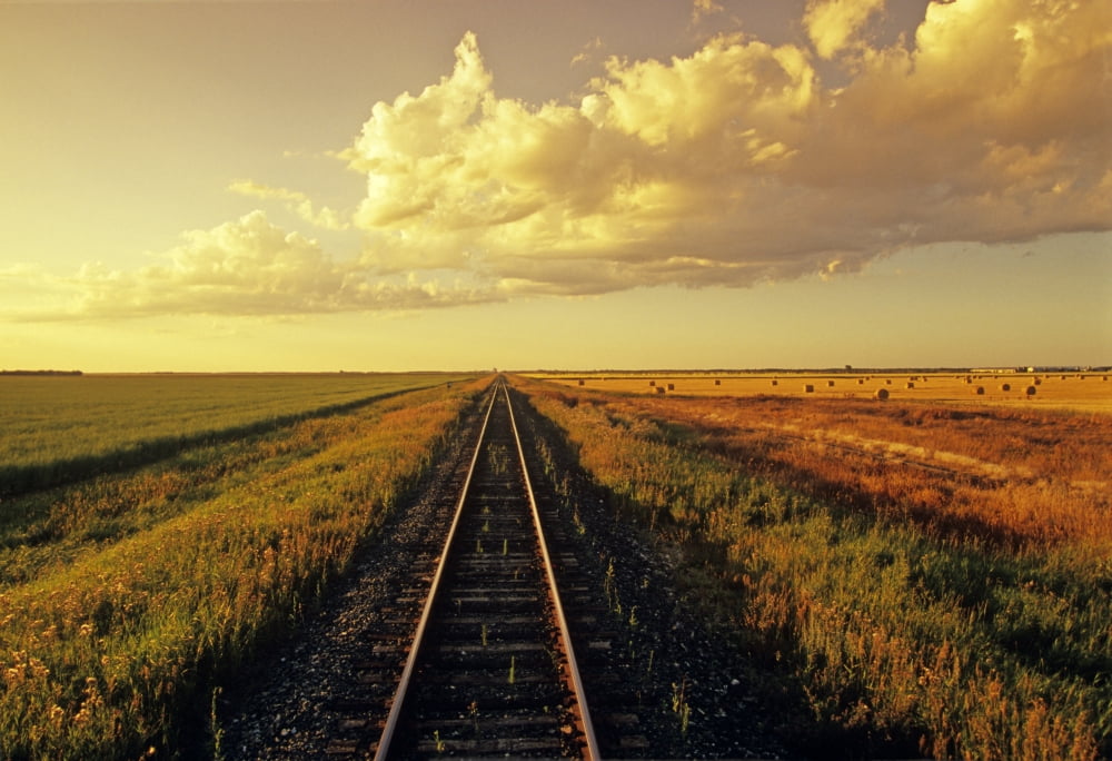 Posterazzi Railway Through Farmland Near Carey Manitoba Canvas Art - Dave Reede Design Pics (34 x 22)