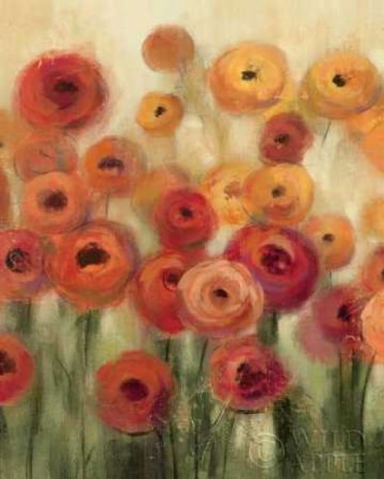 Posterazzi Ranunculi Field II Canvas Art - Silvia Vassileva (24 x 30)