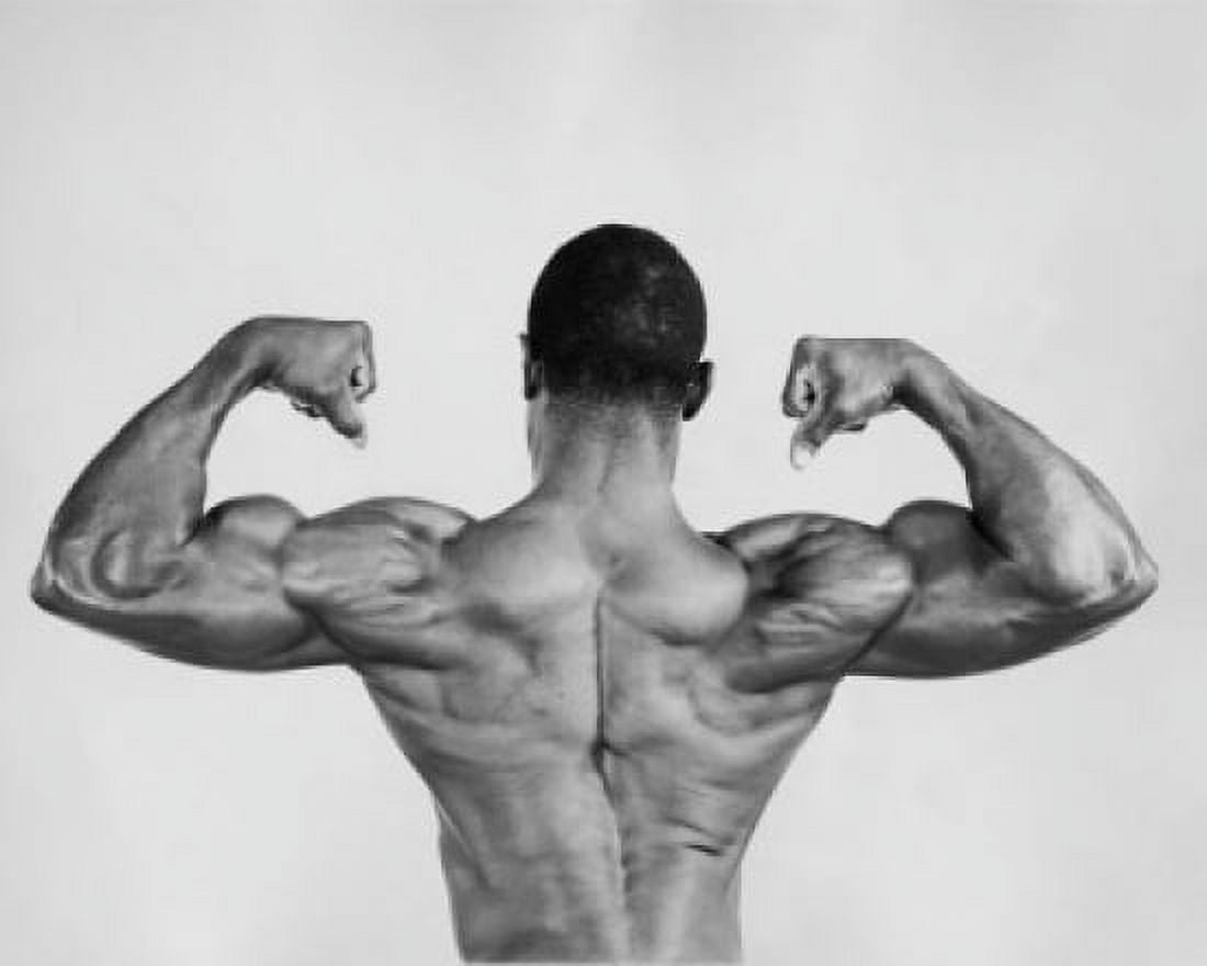 Posterazzi Rear view of a young man flexing his muscles Canvas Art - (24 x 36)