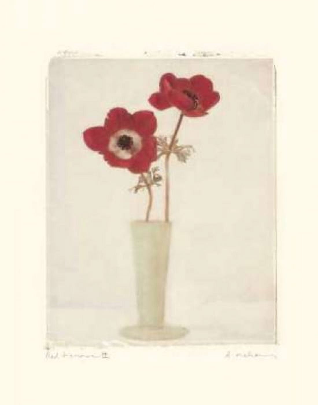 Posterazzi Red Anemones II Canvas Art - Amy Melious (22 x 28)