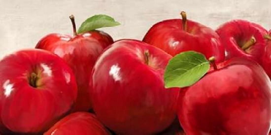 Posterazzi Red Apples Canvas Art - Remo Barbieri (24 x 48)