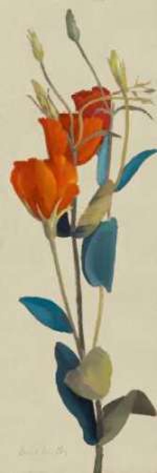 Posterazzi Red Grandiflorum I Canvas Art - Lanie Loreth (12 x 36)