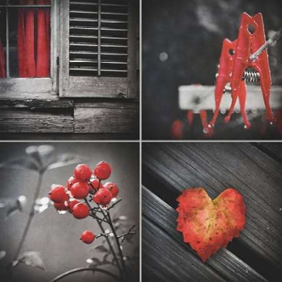 Posterazzi Red Hints Four Pack Canvas Art - Gail Peck (24 x 24)