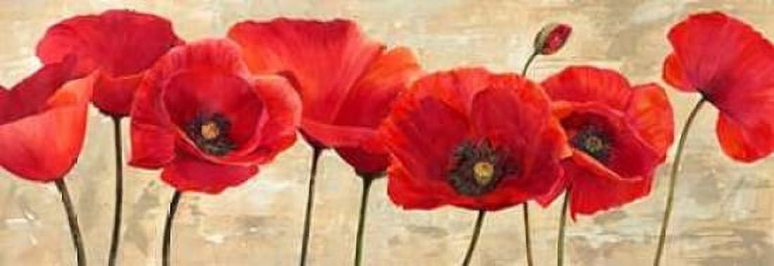 Posterazzi Red Poppies Canvas Art - Cynthia Ann (10 x 20)