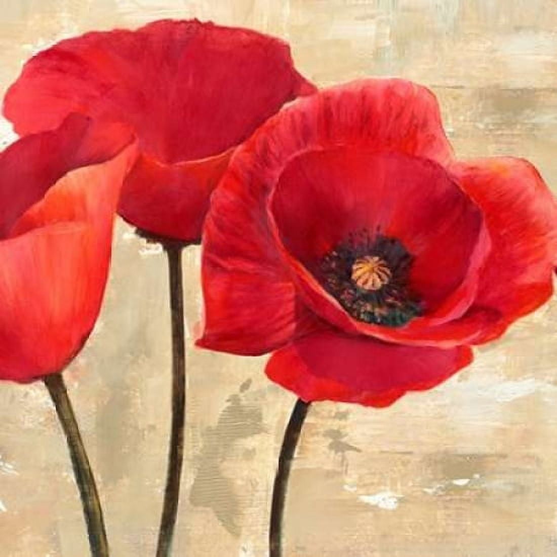 Posterazzi Red Poppies Canvas Art - Cynthia Ann (24 x 24)