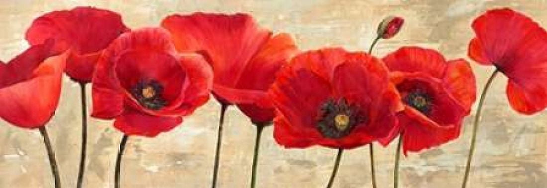 Posterazzi Red Poppies Canvas Art - Cynthia Ann (24 x 48)