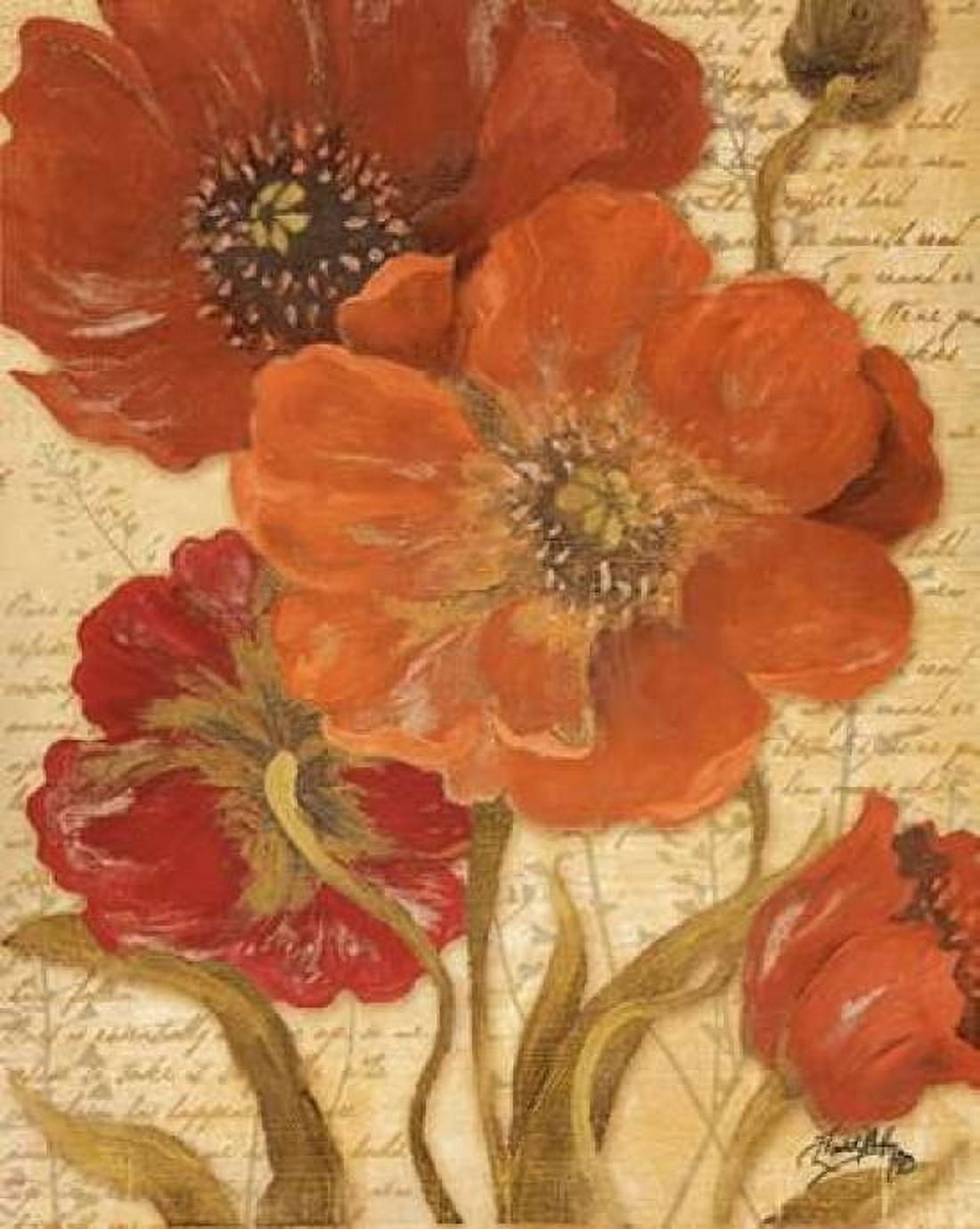 Posterazzi Red Scripted Beauty I Canvas Art - Elizabeth Medley (20 x 24)