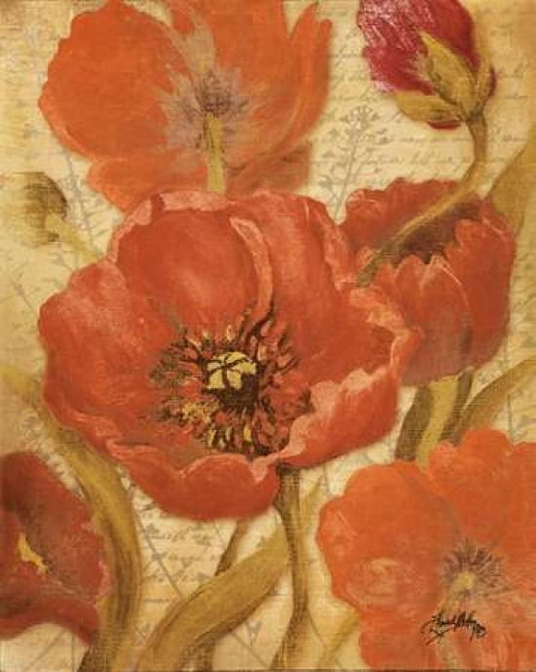 Posterazzi Red Scripted Beauty II Canvas Art - Elizabeth Medley (20 x 24)