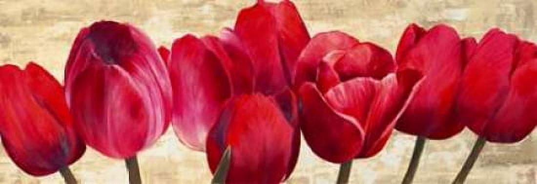 Posterazzi Red Tulips Canvas Art - Cynthia Ann (10 x 20)