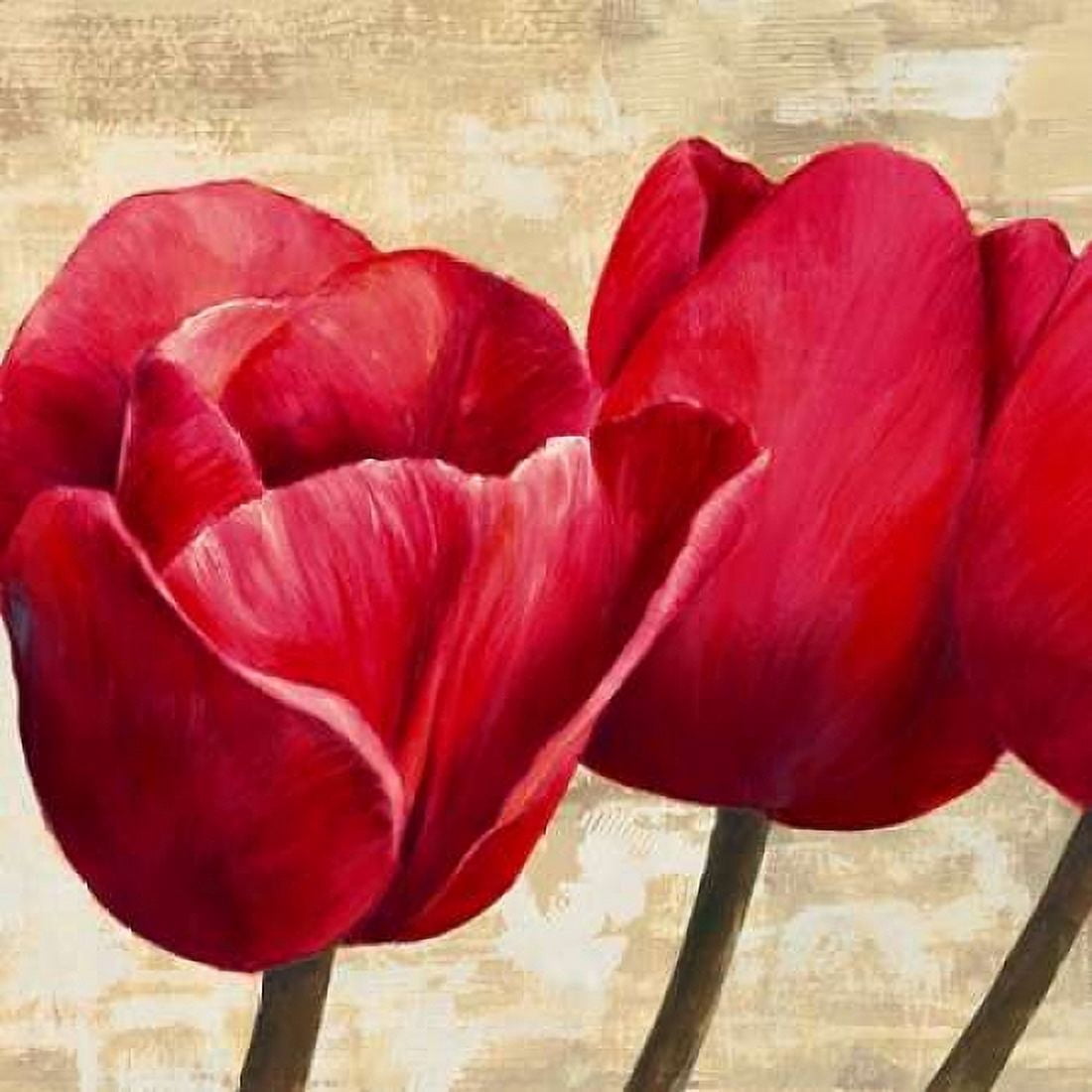 Posterazzi Red Tulips Canvas Art - Cynthia Ann (24 x 24)