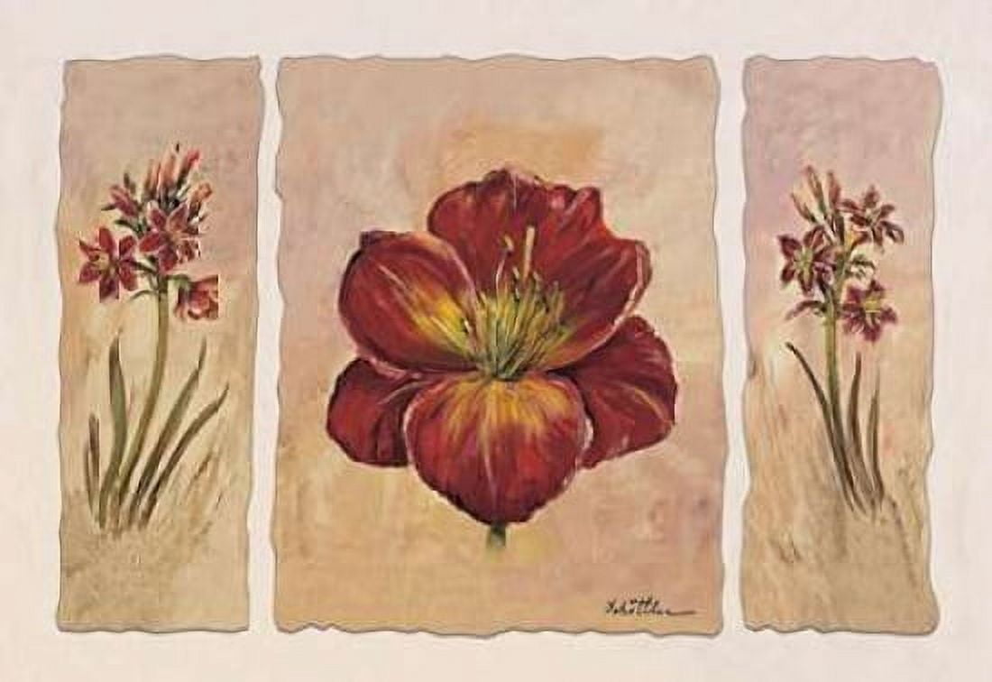 Posterazzi Red composition in three Canvas Art - Katharina Schottler (20 x 28)