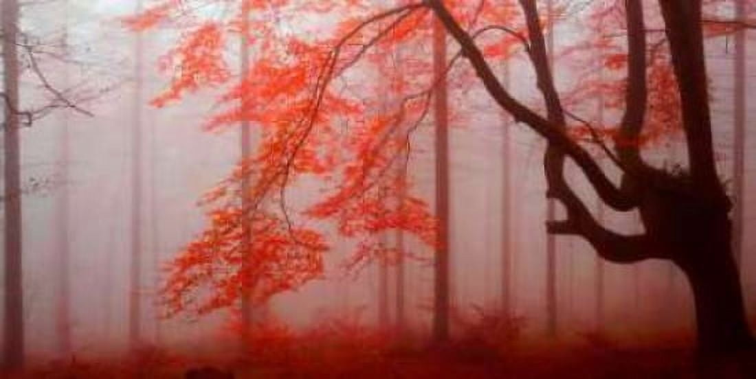Posterazzi Red forest 807 Canvas Art - JA Palacios (24 x 48)