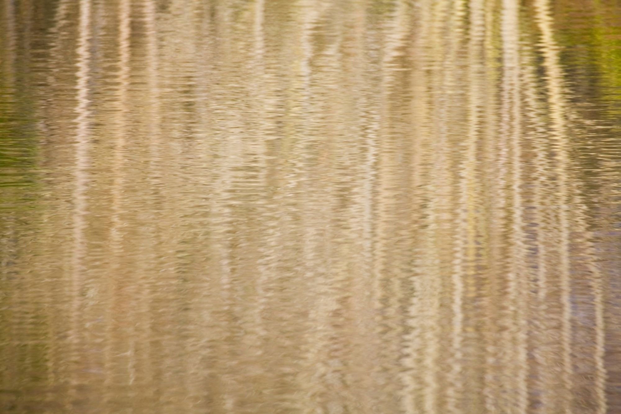 Posterazzi Reflection In Pond Canvas Art - Craig Tuttle  Design Pics (34 x 22)