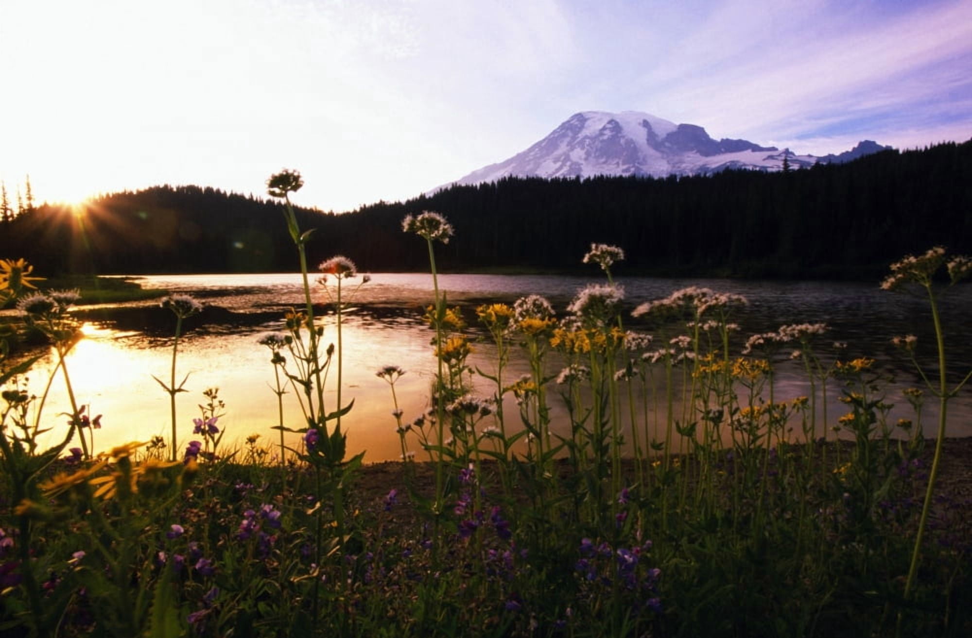 Posterazzi Reflection Lake With Mt Hood In The Distance Washington United States Of America Canvas Art - Natural Selection Craig Tuttle Design Pics (36 x 24)