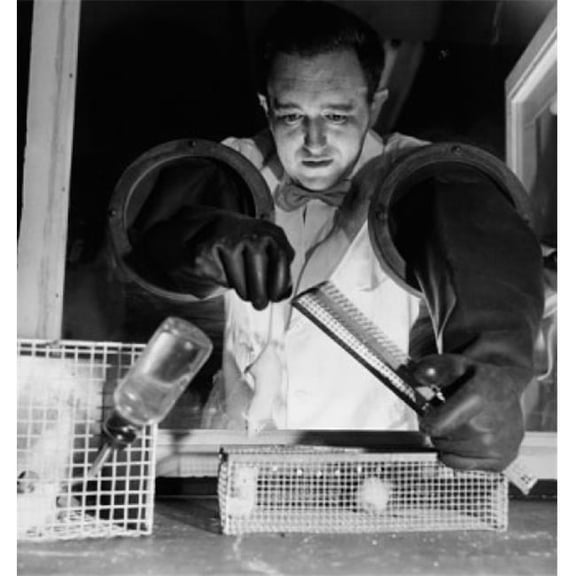Posterazzi Researcher Conducting Experiments on a Mouse Poster Print