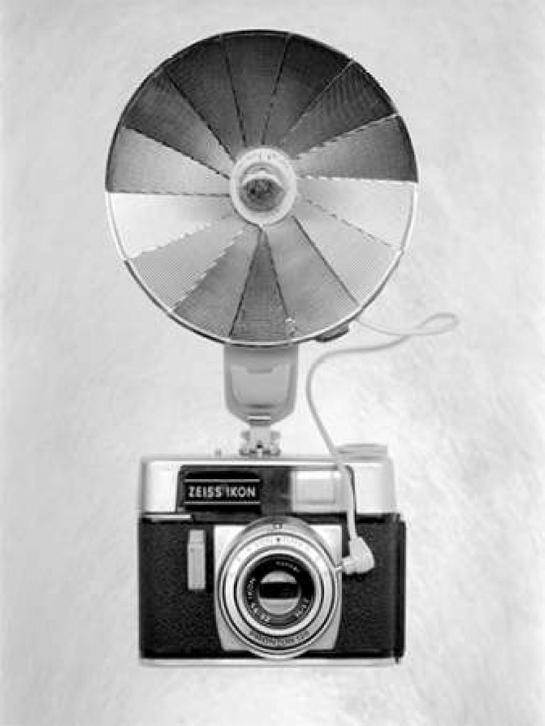 Posterazzi Retro Point and Shoot - 24 Canvas Art - Alan Blaustein (18 x 24)
