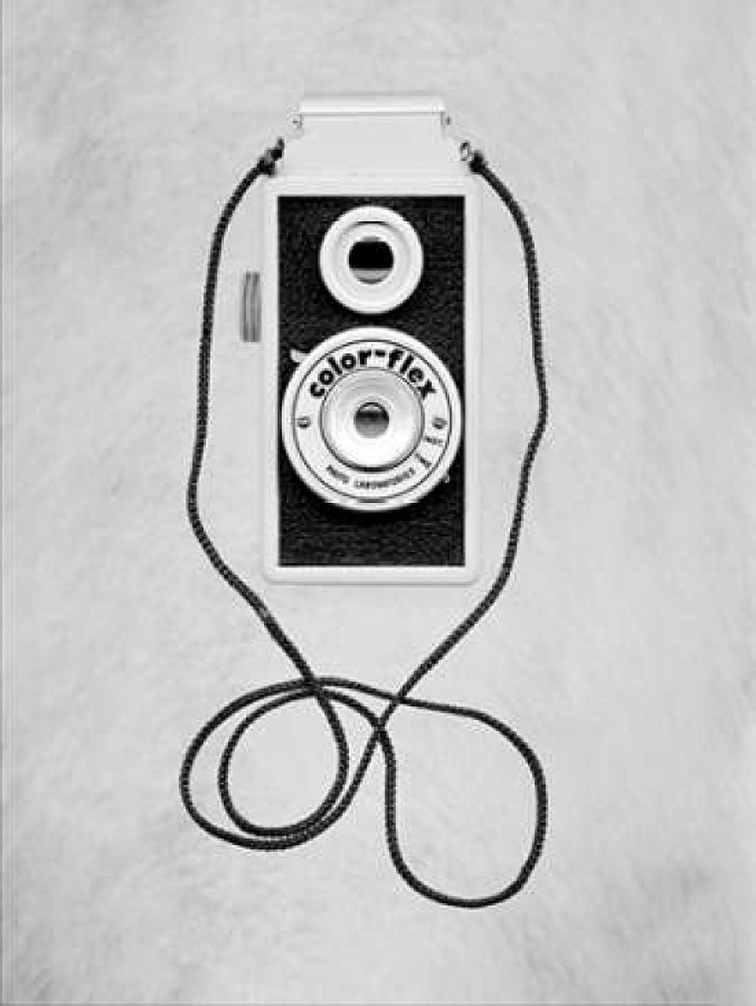 Posterazzi Retro Point and Shoot - 29 Canvas Art - Alan Blaustein (18 x 24)