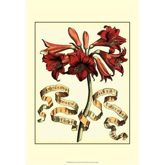 Posterazzi Ribbon Florals II Poster by Vision studio -13.00 x 19.00