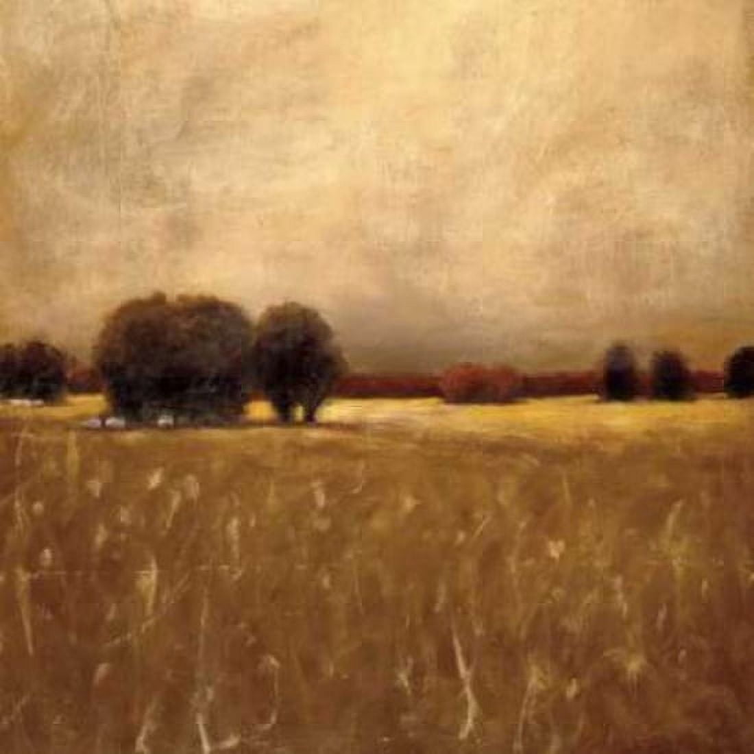 Posterazzi Ridge Field Canvas Art - Gretchen Hess (24 x 24)