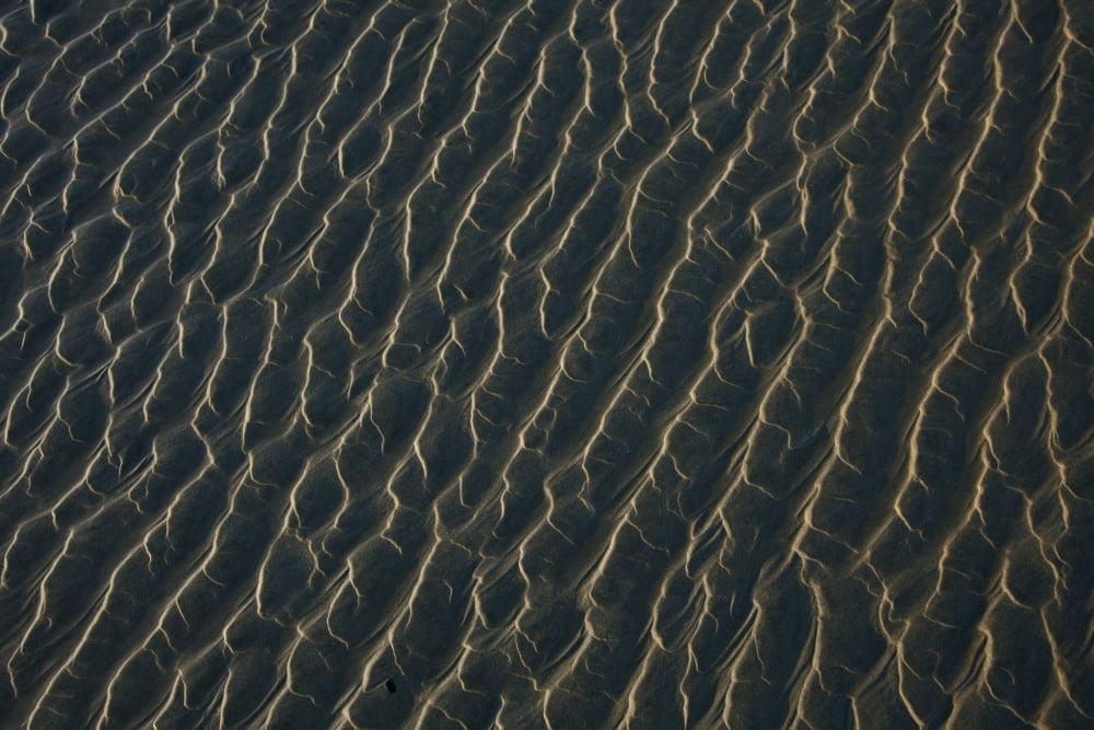 Posterazzi Ripples Form In The Sand At Chestermans Beach And Frank Island Near Tofino British Columbia Canada Canvas Art - Deddeda Design Pics (38 x 24)