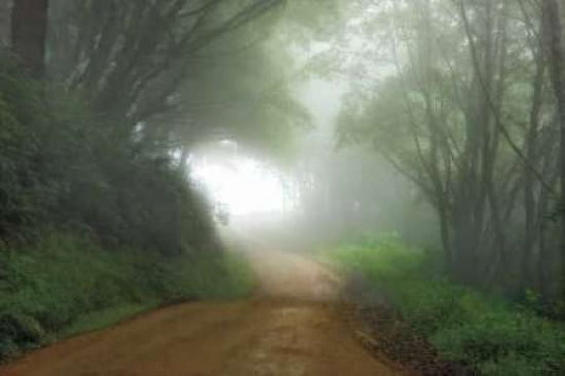 Posterazzi Road to Nowhere Canvas Art - Mike Jones (24 x 36)