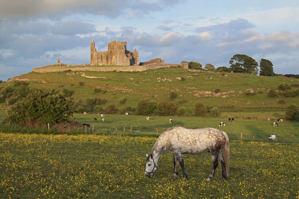 Posterazzi Rock of Cashel County Tipperary Ireland Canvas Art - Carl Bruemmer Design Pics (38 x 24)