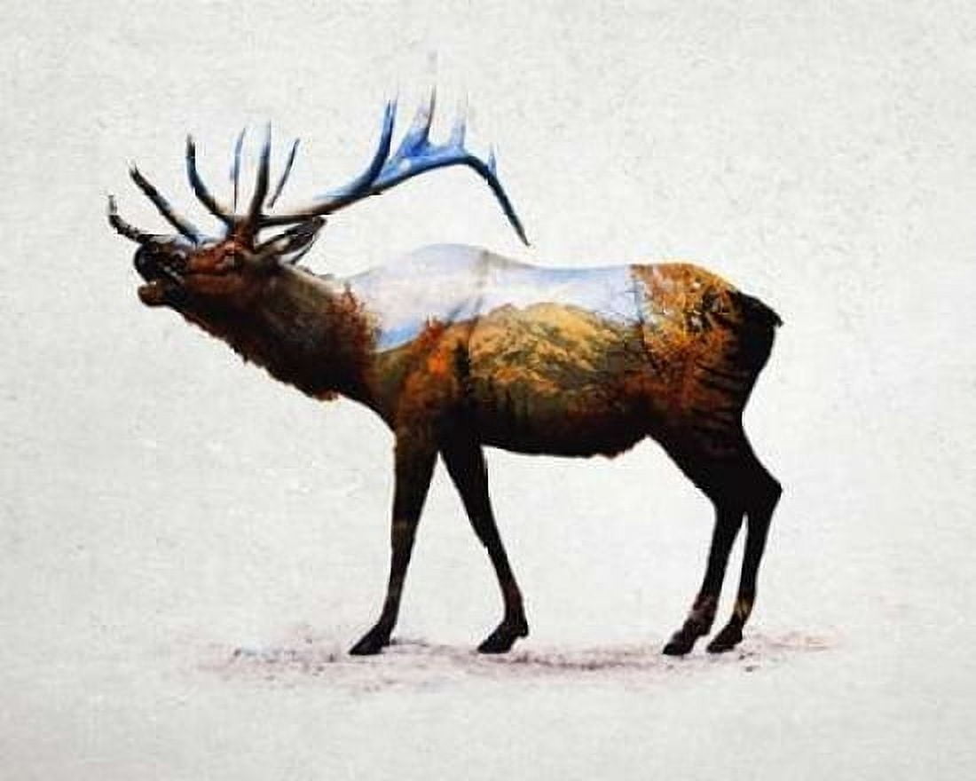 Posterazzi Rocky Mountain Elk Canvas Art - Davies Babies (24 x 30)