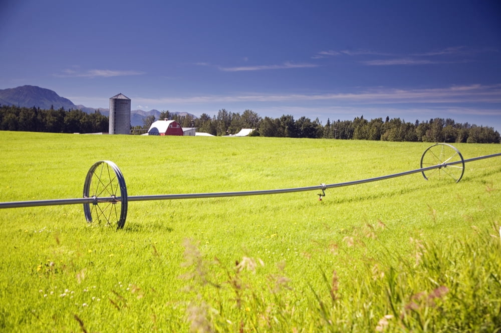 Posterazzi Rolling Irrigation Sprinkler On Hay Field WFarm Background Mat-Su Valley Sc Alaska Summer Canvas Art - Jeff Schultz Design Pics (34 x 22)