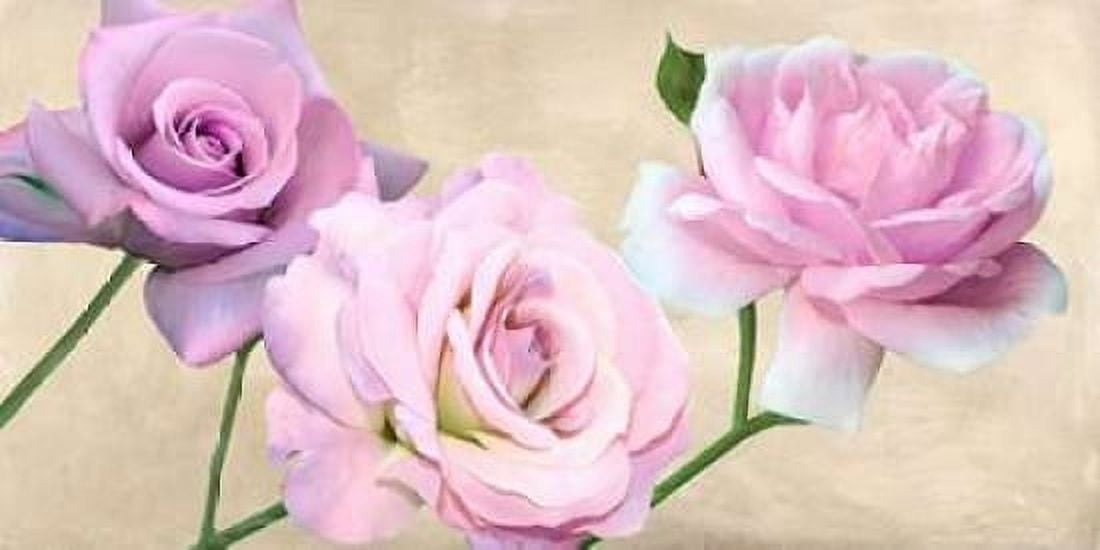 Posterazzi Rose classiche Canvas Art - Serena Biffi (24 x 48)
