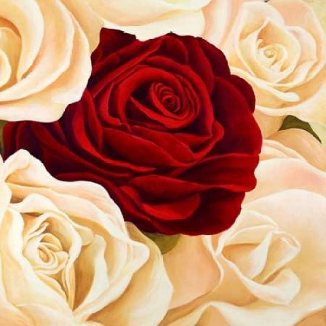 Posterazzi Rose composition Canvas Art - Serena Biffi (24 x 24)