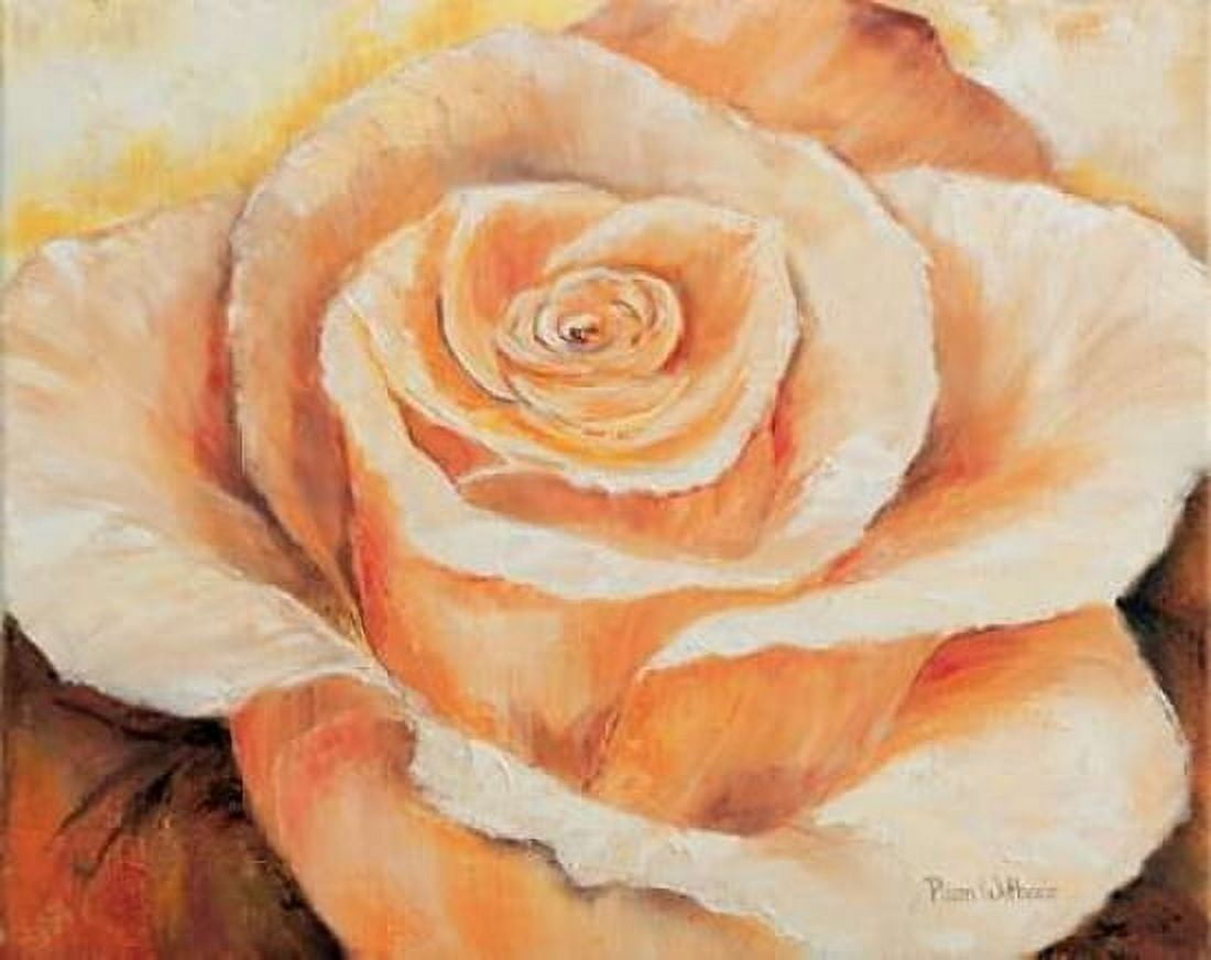 Posterazzi Rose in detail Canvas Art - Rian Withaar (24 x 30)