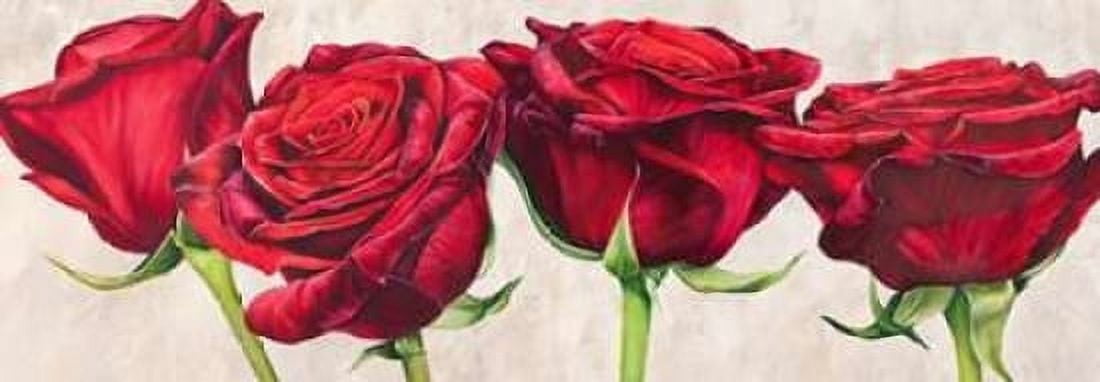 Posterazzi Rose romantiche Canvas Art - Luca Villa (10 x 20)