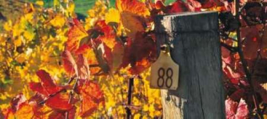 Posterazzi Row 88 Canvas Art - Christopher Foster (24 x 48)
